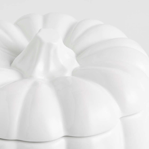 Crate&Barrel White Pumpkin Tureen - Picture 4 of 5